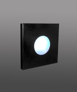 10026 - EMBUTIDO FOCUS II