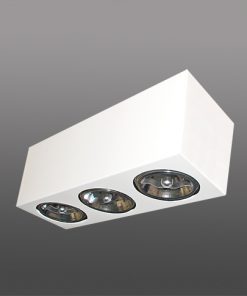 51008, 51015 - SOBREPOR BOX TREENNE FOCUS