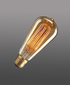 LFC40W119G, LFC40W219G - LÂMPADA DE FILAMENTO DE CARBONO
