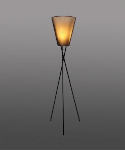 41002 - COLUNA TORCIA