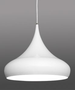 60073 - PENDENTE ASPEN